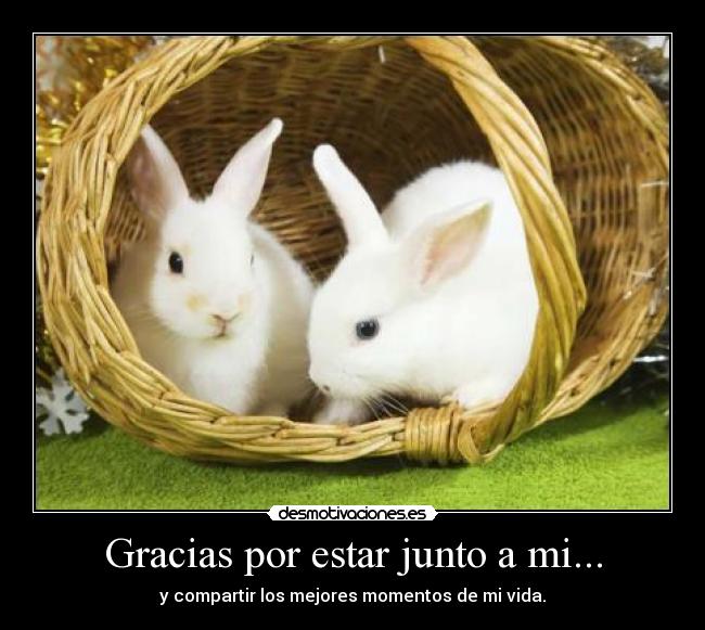 Gracias por estar junto a mi... - 