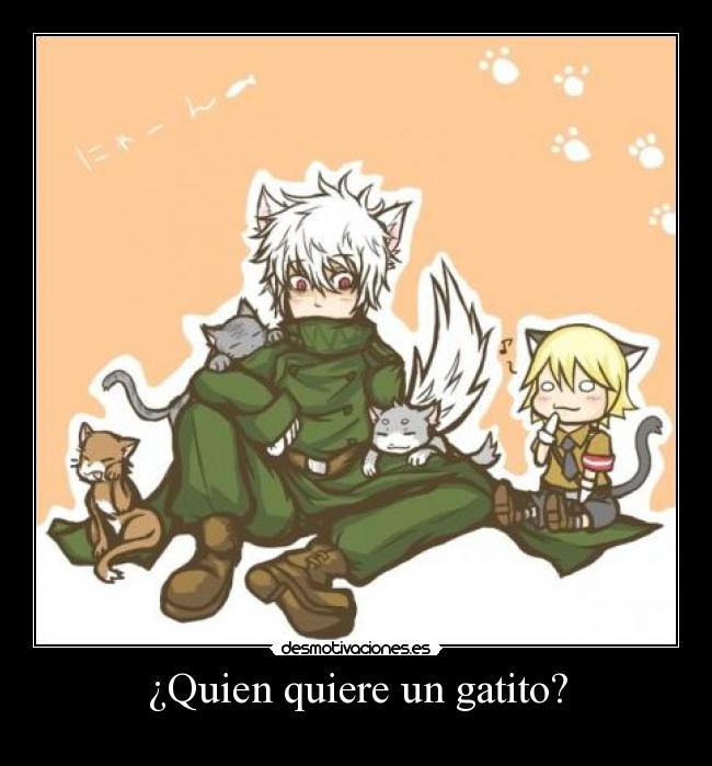 carteles quedo con schro desmotivaciones