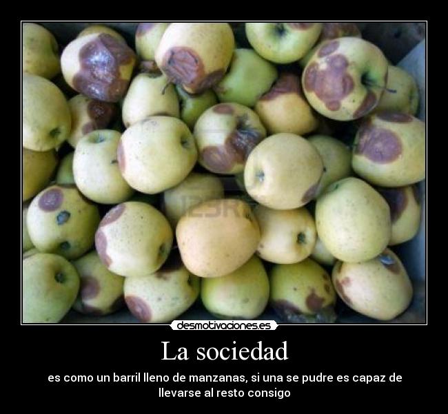 carteles sociedad manzanas sociedad podrido szetsu desmotivaciones