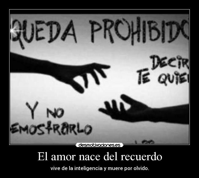 El amor nace del recuerdo - 