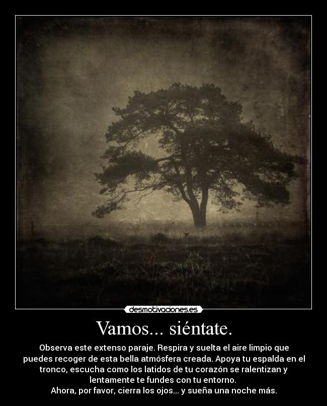 Vamos... siéntate. - Observa este extenso paraje. Respira y suelta el aire limpio que
puedes recoger de esta bella atmósfera creada. Apoya tu espalda en el
tronco, escucha como los latidos de tu corazón se ralentizan y
lentamente te fundes con tu entorno. 
Ahora, por favor, cierra los ojos... y sueña una noche más.