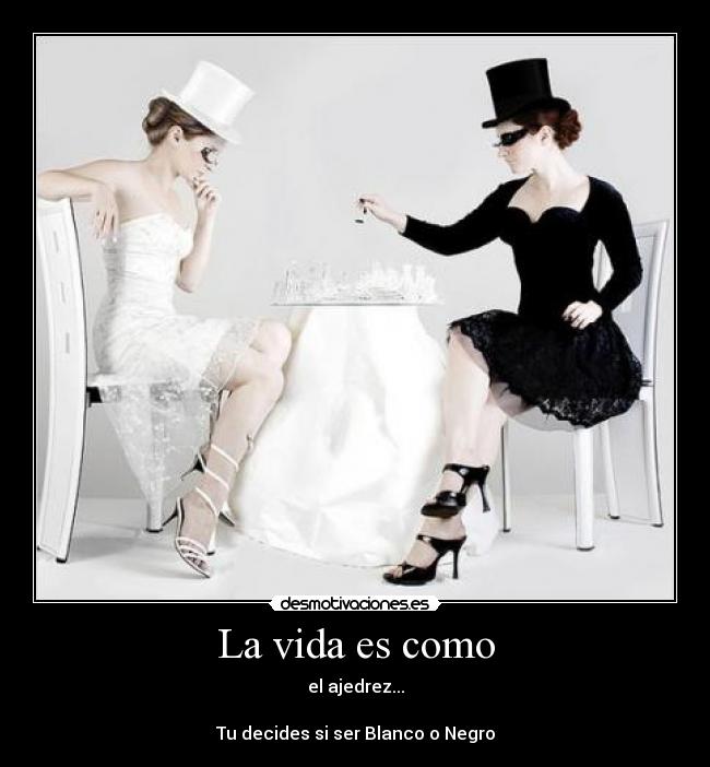 carteles vida ajedrez desmotivaciones