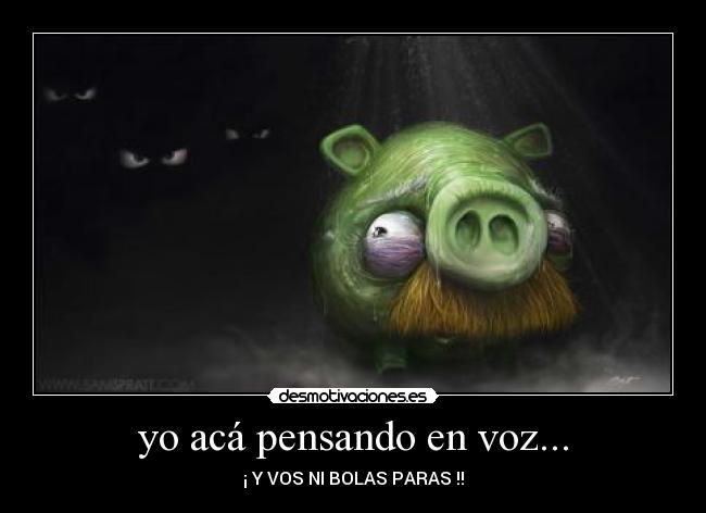 yo acá pensando en voz... - ¡ Y VOS NI BOLAS PARAS !!
