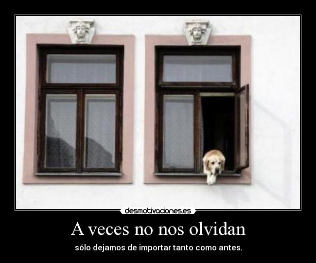 A veces no nos olvidan - sólo dejamos de importar tanto como antes.