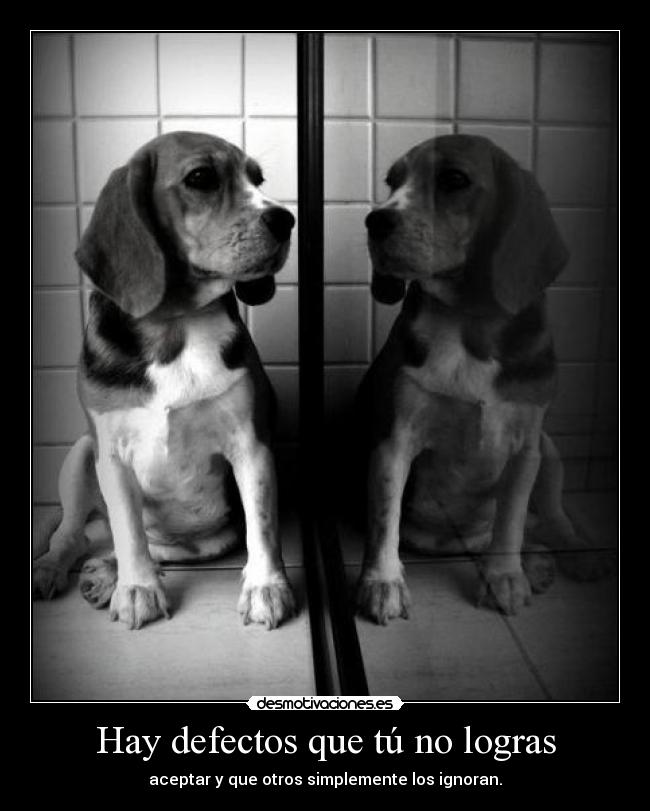 Hay defectos que tú no logras - aceptar y que otros simplemente los ignoran.
