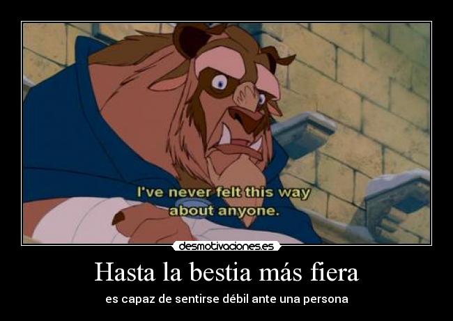 Hasta la bestia más fiera - es capaz de sentirse débil ante una persona