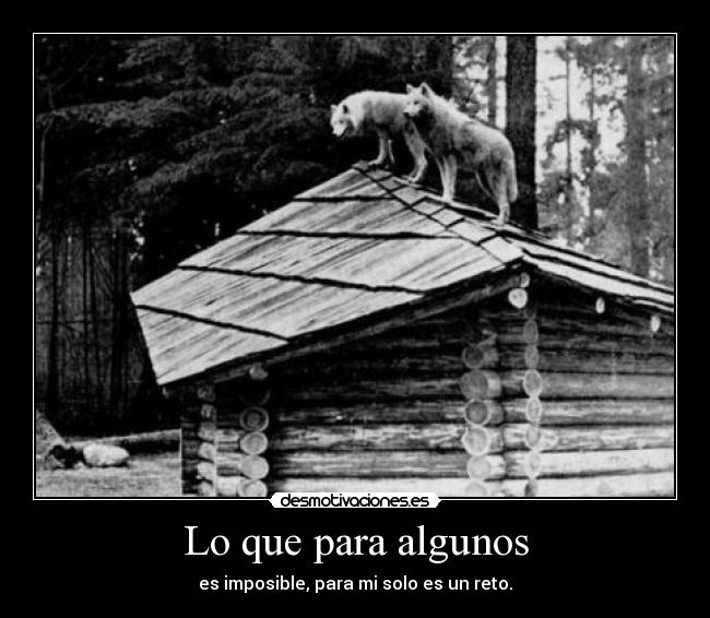 carteles lobiiita imposible reto desmotivaciones