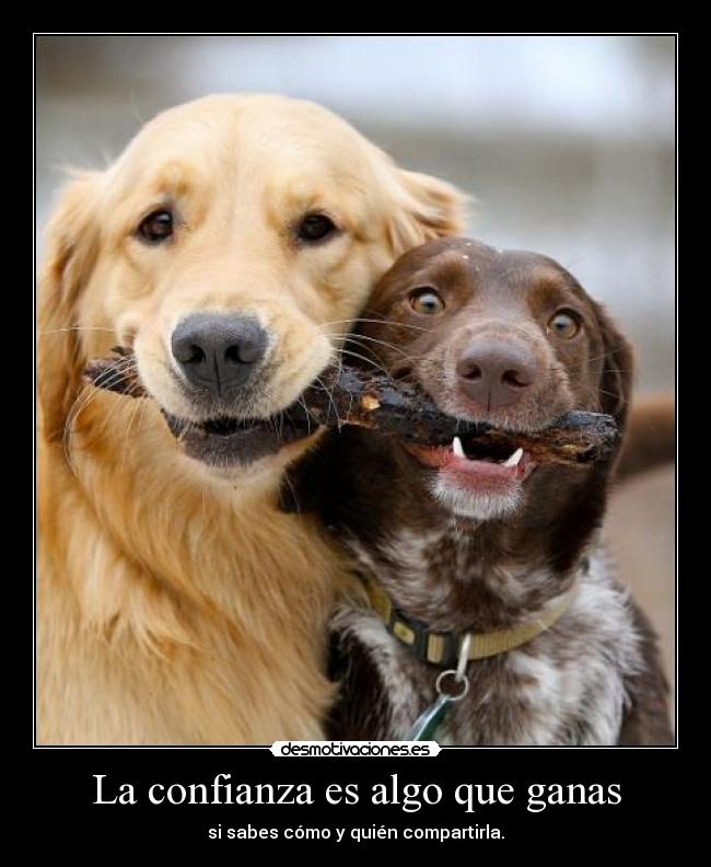 La confianza es algo que ganas - si sabes cómo y quién compartirla.