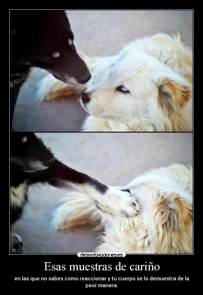 Esas muestras de cariño - en las que no sabes como reaccionar y tu cuerpo se lo demuestra de la peor manera.