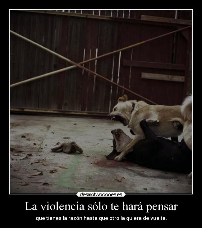 La violencia sólo te hará pensar - que tienes la razón hasta que otro la quiera de vuelta.