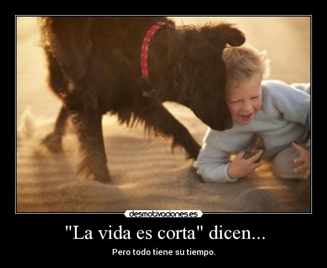 La vida es corta dicen... - Pero todo tiene su tiempo.