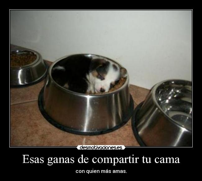 Esas ganas de compartir tu cama - con quien más amas.