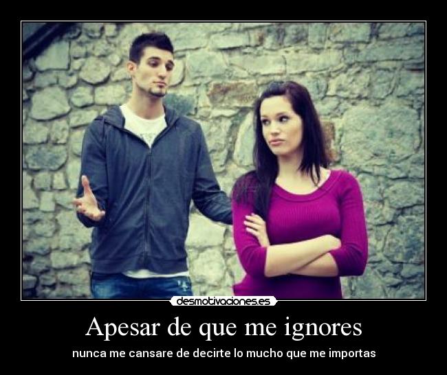 Apesar de que me ignores - nunca me cansare de decirte lo mucho que me importas