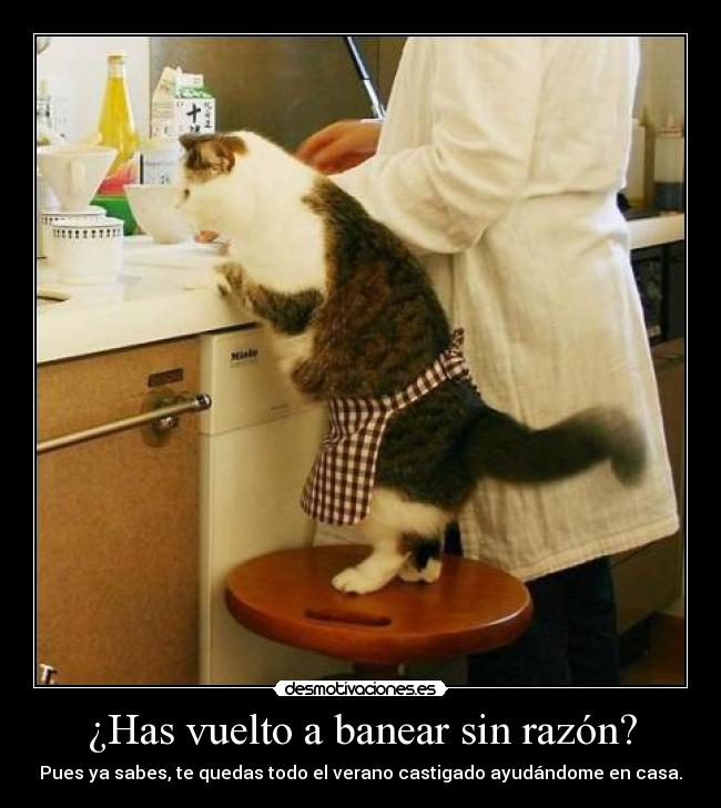 ¿Has vuelto a banear sin razón? - 