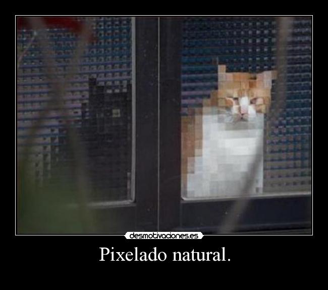 Pixelado natural. - 