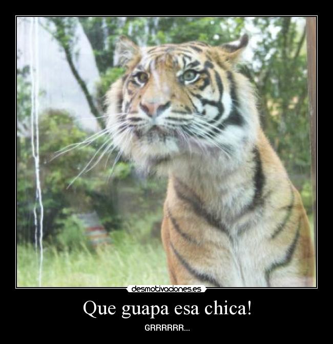 Que guapa esa chica! - GRRRRRR...