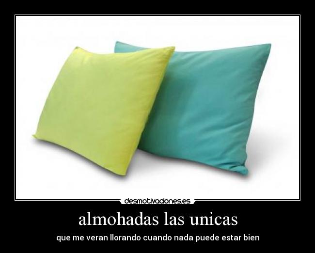 almohadas las unicas - 