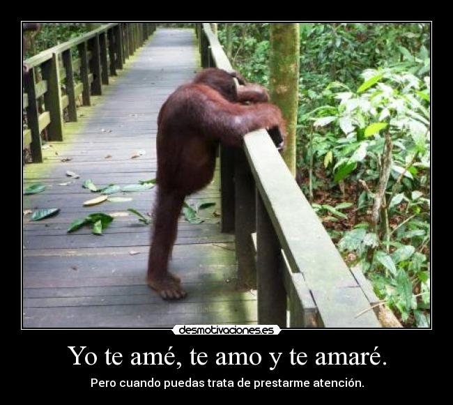 Yo te amé, te amo y te amaré. -