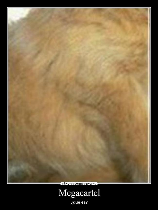 Megacartel - ¿qué es?