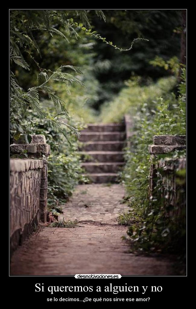 Si queremos a alguien y no -