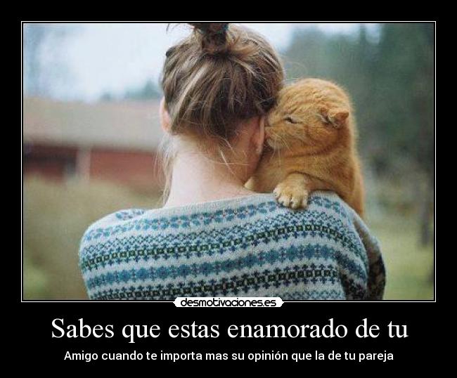 carteles gatosmono desmotivaciones