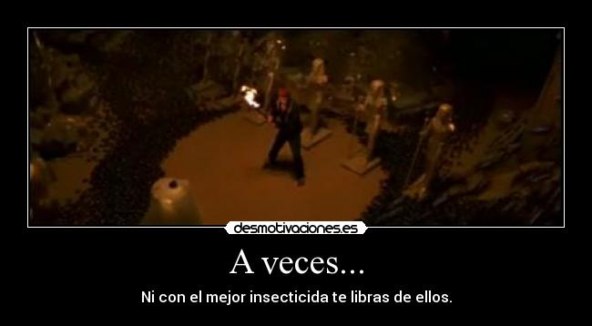 A veces... - Ni con el mejor insecticida te libras de ellos.