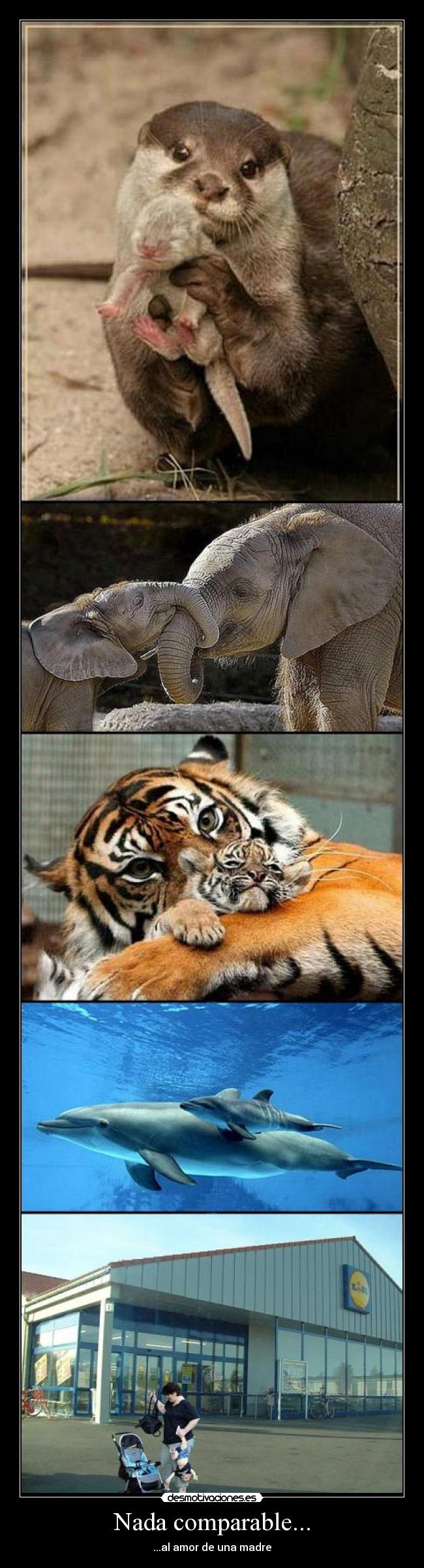 carteles amor madre desmotivaciones