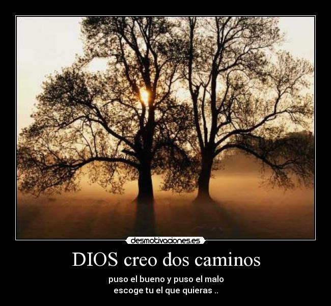 DIOS creo dos caminos -