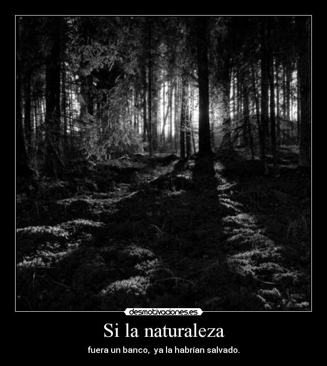Si la naturaleza - fuera un banco,  ya la habrían salvado.