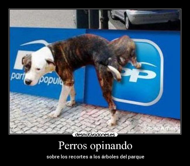 Perros opinando - sobre los recortes a los árboles del parque