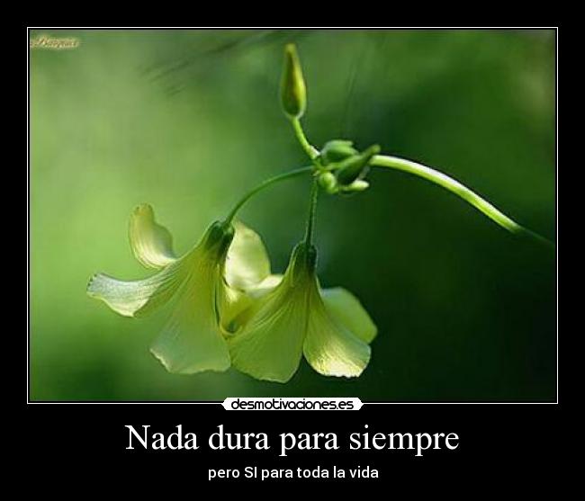 Nada dura para siempre -
