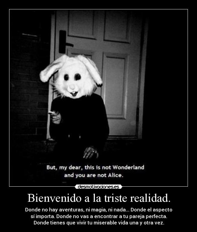 Bienvenido a la triste realidad. -