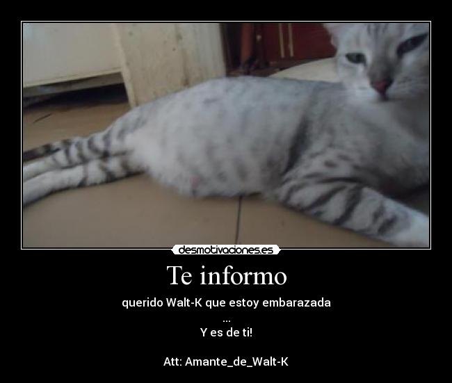 Te informo -
