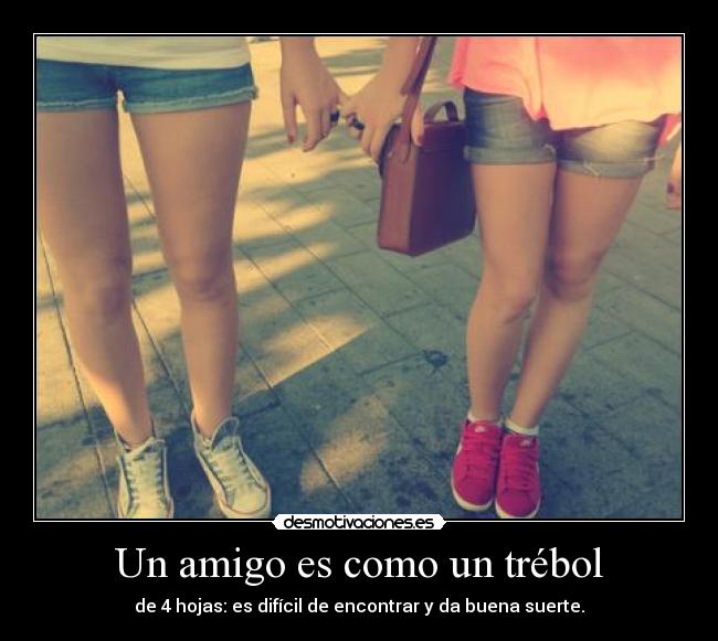 carteles zai porque verdaderos amigos hay pocos crazy 4ever quiero locas quiero veros desmotivaciones