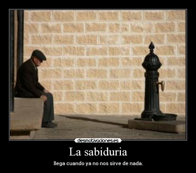 carteles sabiduria llega sirve google principal desmotivaciones