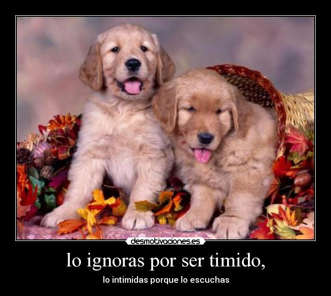 carteles fustracion desmotivaciones