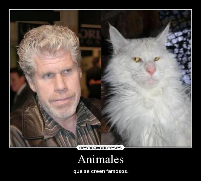 Animales -