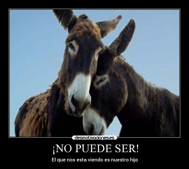 ¡NO PUEDE SER! -