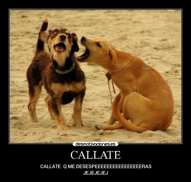 CALLATE - CALLATE  Q ME DESESPEEEEEEEEEEEEEEEERAS
JEJEJEJEJ