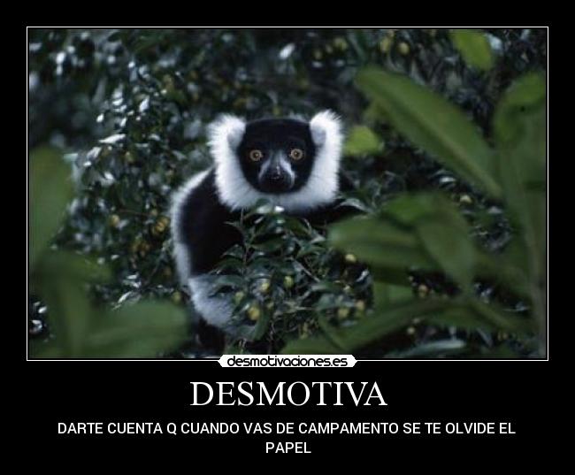 DESMOTIVA - DARTE CUENTA Q CUANDO VAS DE CAMPAMENTO SE TE OLVIDE EL 
PAPEL