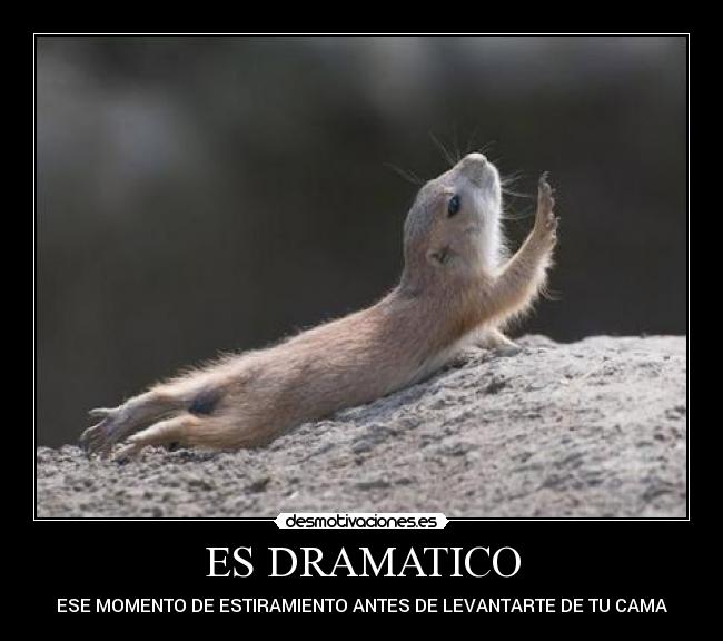 ES DRAMATICO - ESE MOMENTO DE ESTIRAMIENTO ANTES DE LEVANTARTE DE TU CAMA