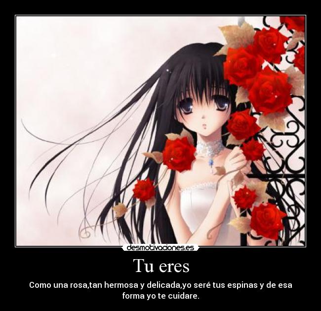 Tu eres - Como una rosa,tan hermosa y delicada,yo seré tus espinas y de esa
forma yo te cuidare.