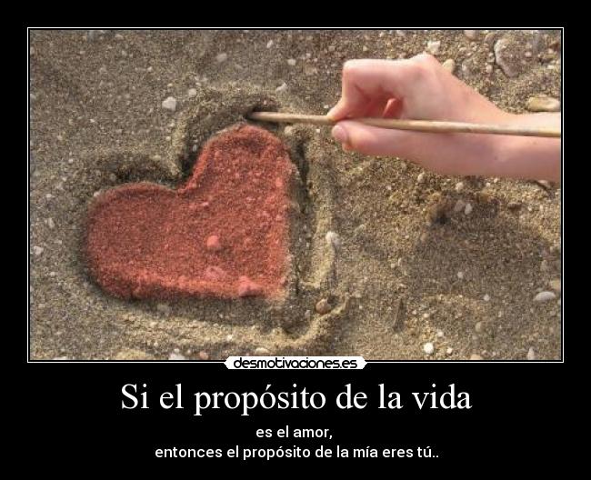 Si el propósito de la vida -