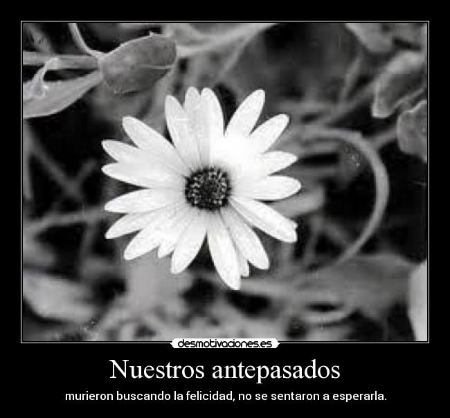 Nuestros antepasados - murieron buscando la felicidad, no se sentaron a esperarla.