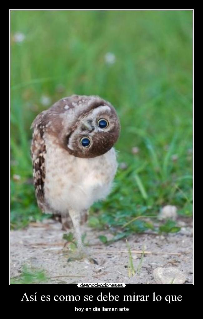 Así es como se debe mirar lo que -