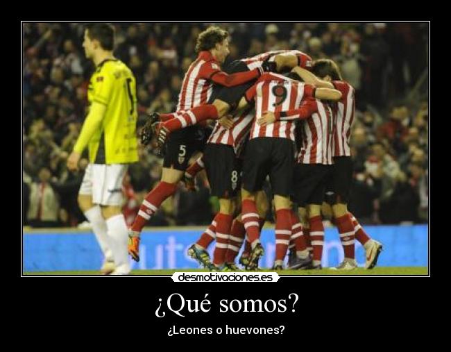 ¿Qué somos? -