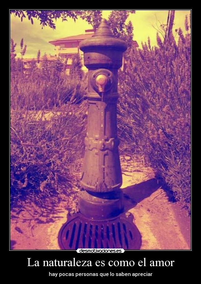 La naturaleza es como el amor - hay pocas personas que lo saben apreciar