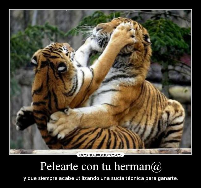 Pelearte con tu herman@ -