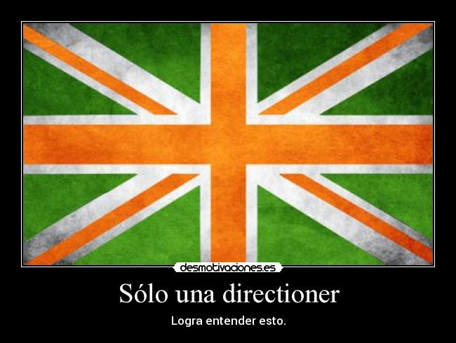 Sólo una directioner -