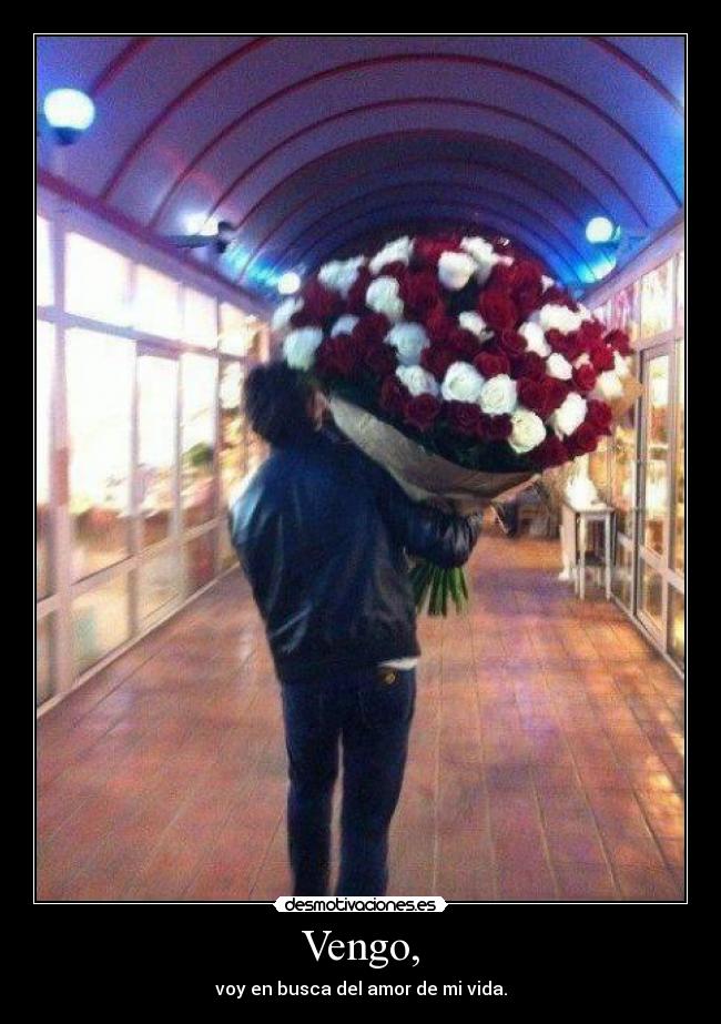 Vengo, - voy en busca del amor de mi vida.